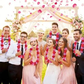 20Pcs Valentine'S Day Flower Leis Garland Necklace -Pink Hawaiian Floral Tropical Flower Garlands, For Wedding Birthday Party Wedding Guest Decor (Option: 20pcs)